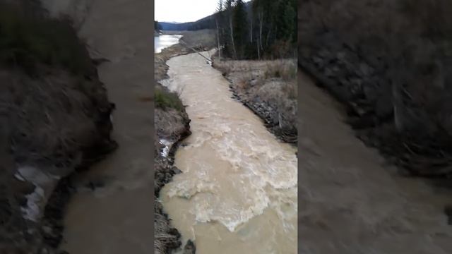 р. Сейба - последствия золотодобычи! смотреть онлайн