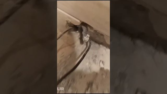 Нашли обрыв соединительной муфты в стене♨️⚒️ #теплыйпол #ремонт #обрывкабеля #тепловизор #flir смотреть онлайн