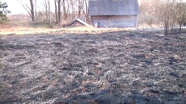 Можно ли сжигать мусор у себя на приусадебном участке? смотреть онлайн