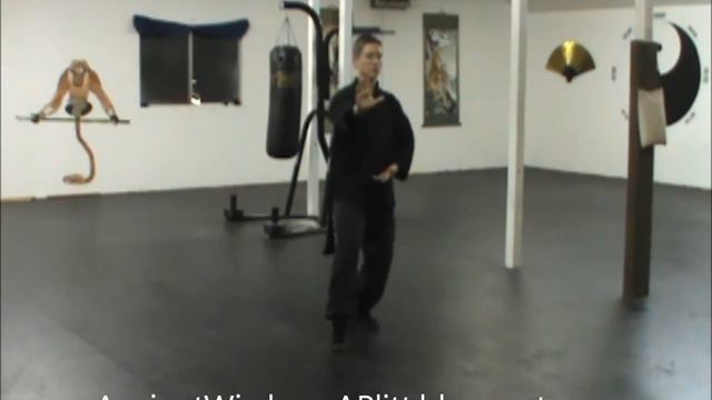 (7 of 25) Yang Tai Chi 24 Form, Instructional Series: Repulse the Monkey смотреть онлайн