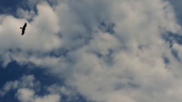 CLIP - Иван и Настя смотреть онлайн