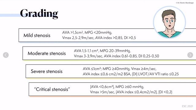 〖Echocardiography〗 Aortic valve stenosis (full version) 💖 смотреть онлайн