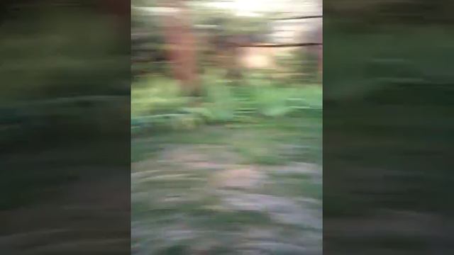 Сумасшедшие дети смотреть онлайн