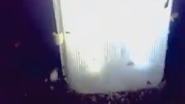 Нашествие насекомых на свет смотреть онлайн