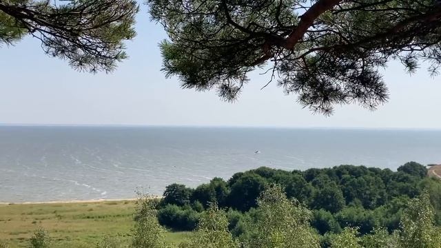 ПРЕДАТЕЛЬСТВО ЖЕНЫ НАШЁЛ ПОД ДИВАНОМ. Истории из жизни. Жизненные рассказы, аудио рассказ смотреть онлайн