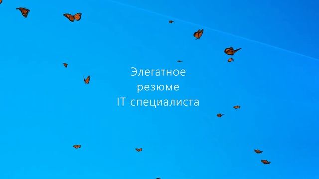Элегантное резюме IT специалиста смотреть онлайн