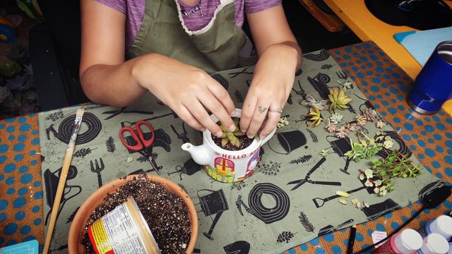 Arreglo de suculentas en tetera de Hello Kitty | Verde Cactis смотреть онлайн