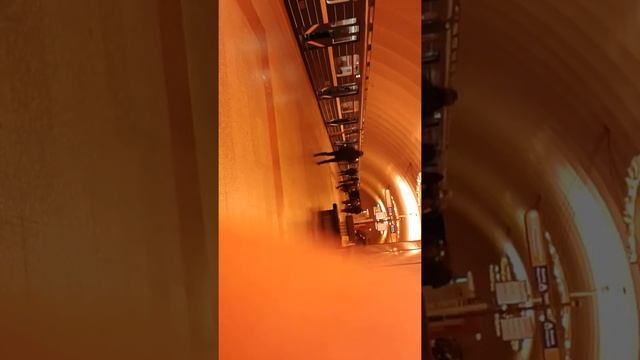 Станция метро Новочеркасская , СПБ