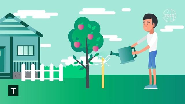 2. Видеоролик _Труд_