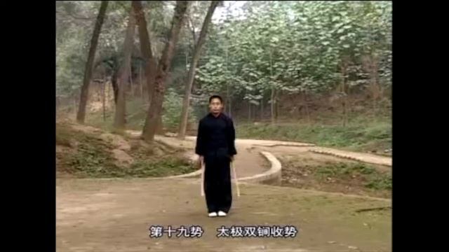 Чэнь палочки +19