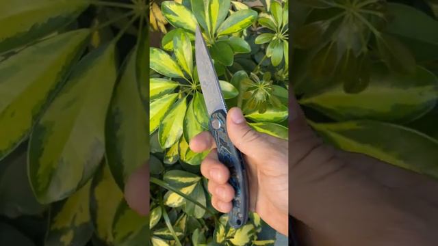 Sergey Shirogorov Custom Stellaris CarboTi Custom Knife From Recon 1 смотреть онлайн