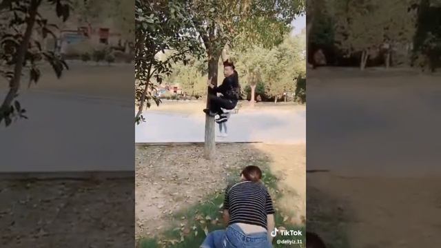 Китайская собачка смотреть онлайн