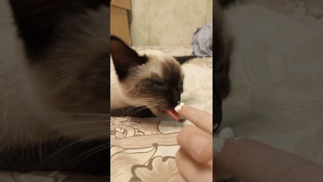 ❤? смотреть онлайн