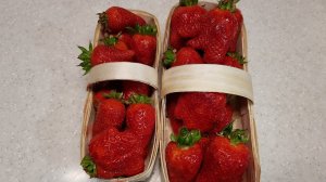 // КЛУБНИКА АЛЬБА ПЕРВАЯ ЯГОДА // ТАРА ДЛЯ КЛУБНИКИ //