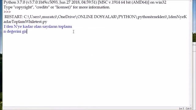 Python #17 - While True - Break Örneği смотреть онлайн