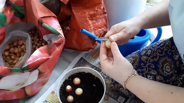 ВЛОГ: ПРОШУ ПРОЩЕНЬЯ!/ И БЛИНЫ И СУШИ ,ВСЯ В ДЕЛАХ смотреть онлайн