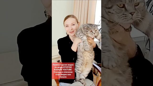 АНОНС видеозаметки о Новолунии и Техники визуализации на моем втором канале YouTube смотреть онлайн