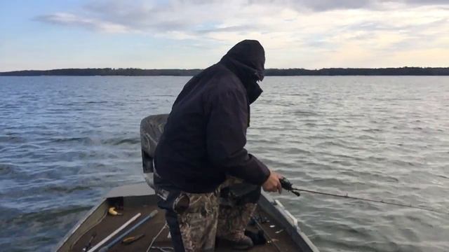 Fishing with a Partial Gulp Shrimp Bait (Part 1 of 2) смотреть онлайн