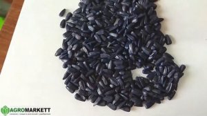 ЭПСИЛОН гибрид подсолнечника под Экспресс /  Гранстар обзор семян