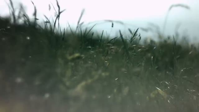 Toyota Land Cruiser Prado смотреть онлайн