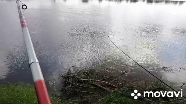 Рыбалка на Вятке с приключениями смотреть онлайн