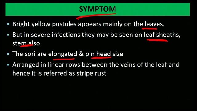 Wheat diseases | Yellow rust | Brown Rust | Gehun ka Ratua rog смотреть онлайн