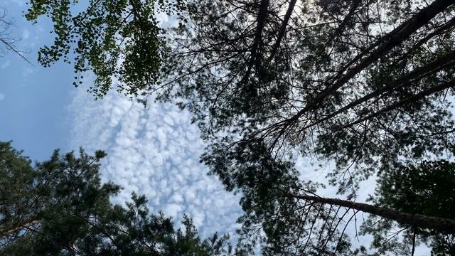 Музыка для медитации 5 минут смотреть онлайн