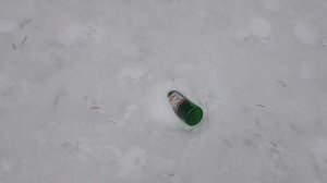 Уборка мусора во дворе дома в городе / Как поддерживать порядок!