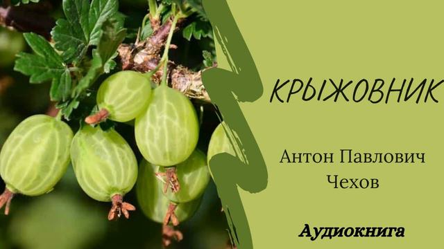 Антон Павлович Чехов - "Крыжовник" смотреть онлайн