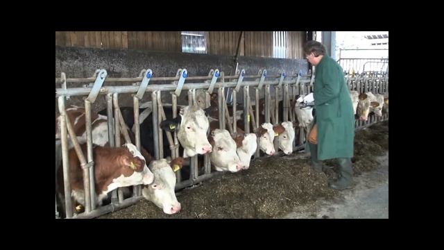 Henke-Sass Wolf - instruction Injection bar short смотреть онлайн