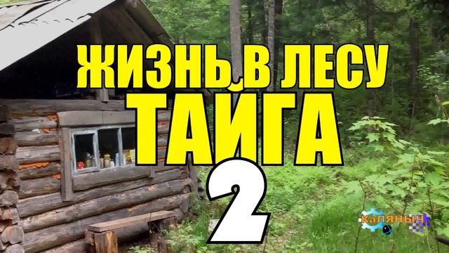 ЖИЗНЬ В ГЛУХОЙ ТАЙГЕ | ЛЕСПРОМХОЗ | СОХАТЫЙ НА САНЯХ | ЛОСЬ И ЧЕЛОВЕК 2 из 4 смотреть онлайн