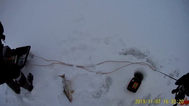 Судак на раттлины зимой в 2022 году смотреть онлайн