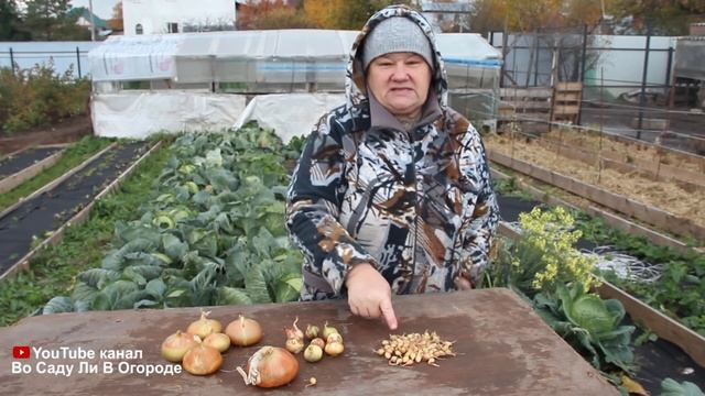 КАК СДЕЛАТЬ БИЗНЕС НА ЛУКЕ. ПОСАДКА ЛУКА ОСЕНЬЮ. смотреть онлайн