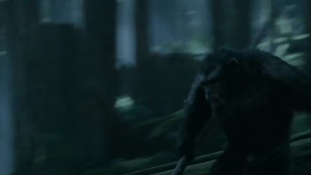 Ержан вставай хватит спать!