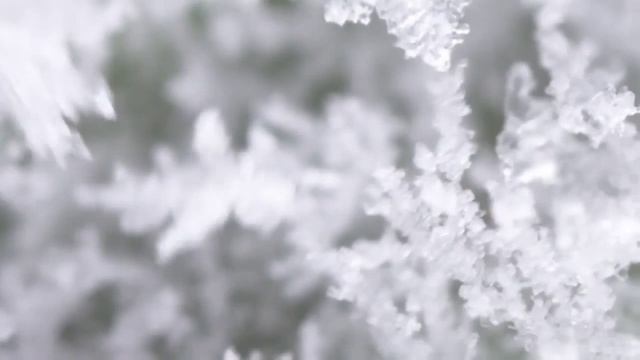 Экспертиза Растительной Косметики Ив Роше смотреть онлайн