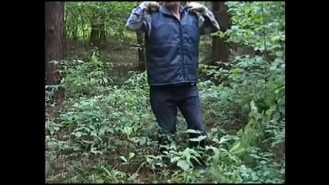 ЛЕЧЕБНАЯ ГИМНАСТИКА ДЛЯ ВОССТАНОВЛЕНИЯ СОСУДОВ