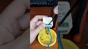 Реле умного дома в обычный подрозетник