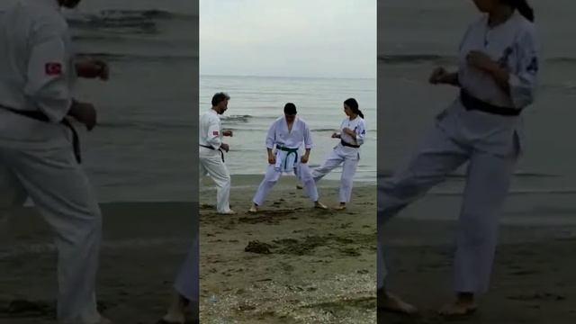 Budokaido Ashıhara karate 2020 смотреть онлайн