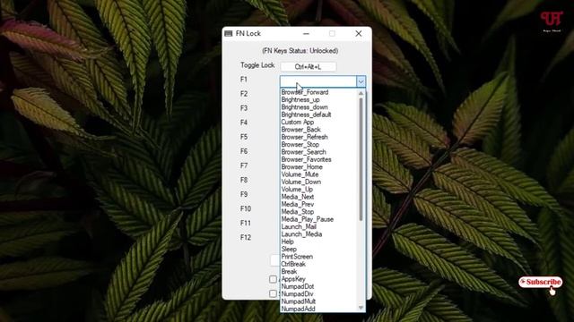 How to Lock Fn or Function Key of a Keyboard in any Windows Computer ? смотреть онлайн