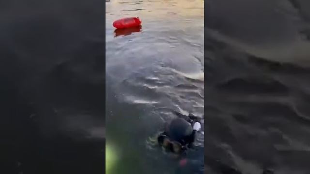 поиск упавшего в воду квадрокоптера смотреть онлайн