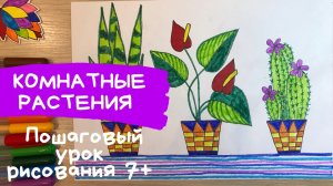 Рисунок растения. Комнатные растения рисунок. Красивые цветы для срисовки. Домашние цветы.