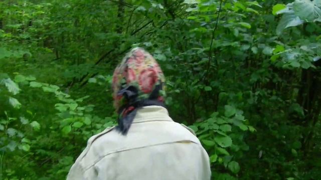 Грибы Первый выход в лес Июль смотреть онлайн