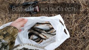 Мормышинг. Воды нет, но рыба есть. Рыбалка на малой реке. Микроприманки