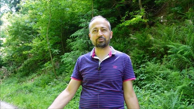 КЛЕВЕР смотреть онлайн