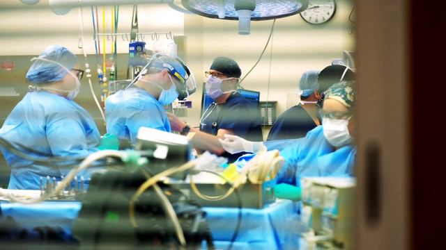 Meet the Experts: William Gibson, DO - Ward Family Heart Center смотреть онлайн