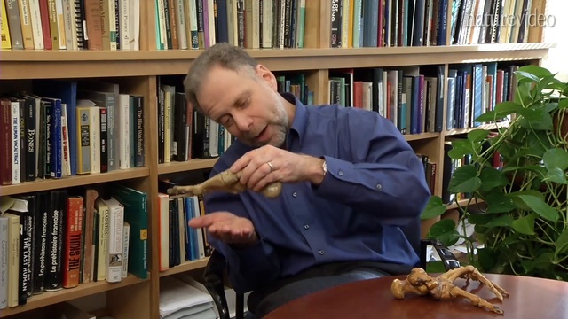 The Barefoot Professor_ by Nature Video смотреть онлайн