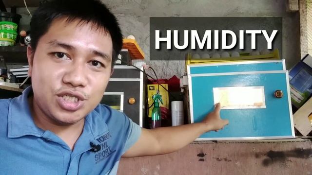 INCUBATOR TUTORIAL: (TEMPERATURE, HUMIDITY, VENTILATION, EGG TURNING) смотреть онлайн