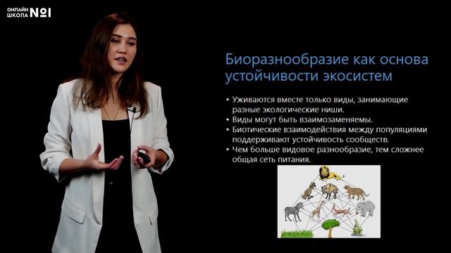 Устойчивость и динамика экосистем. Видеоурок 29. Биология 11 класс смотреть онлайн