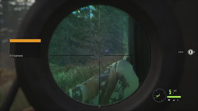 TheHunter: Call Of The Wild