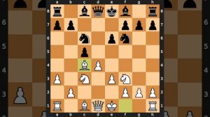 Borislav Ivkov-Ljubomir Ljubojevic, Wijk aan Zee 1972, Result: 1/2-1/2